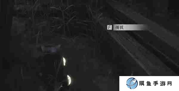 燕云十六声封丘村特殊蹊跷在哪 封丘村特殊蹊跷位置介绍