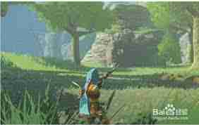 塞尔达旷野之息如何寻找野猪 塞尔达旷野之息野猪搜寻方法