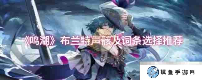 《鸣潮》布兰特声骸及词条选择推荐