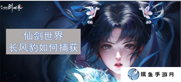 仙剑世界长风豹如何捕获