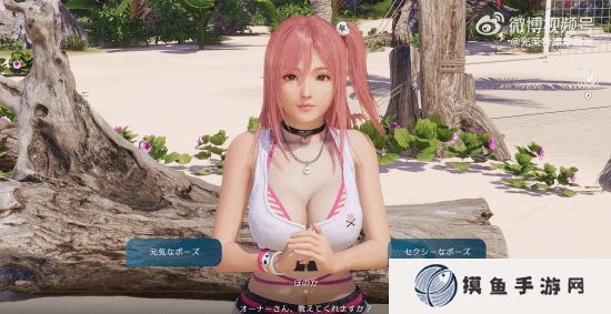 本站