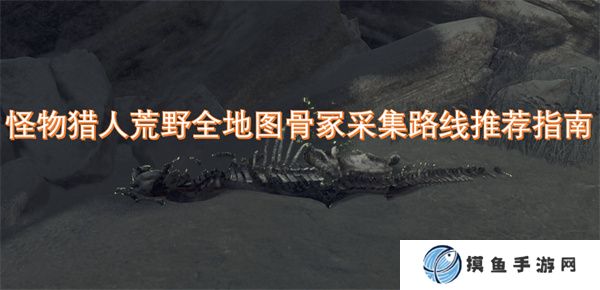 怪物猎人荒野全地图骨冢采集路线推荐指南