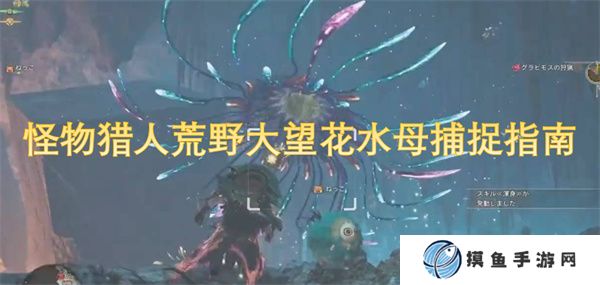 怪物猎人荒野大望花水母捕捉指南