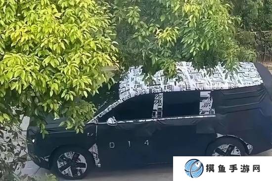 本站