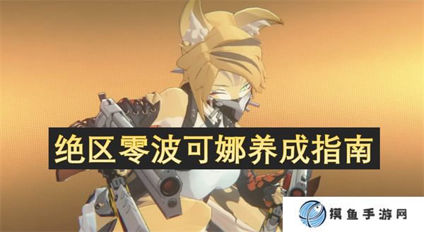 绝区零波可娜养成指南