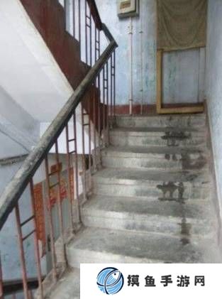 本站