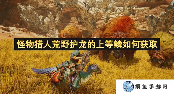 怪物猎人荒野护龙的上等鳞如何获取