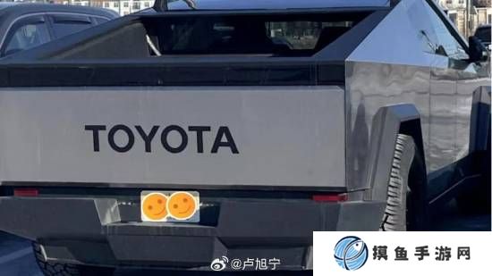 美特斯拉车主为抗议马斯克：把车标换成丰田、奥迪等