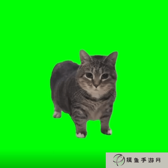 本站