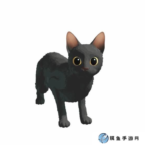 本站