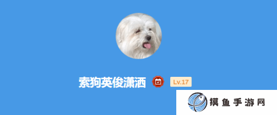 本站